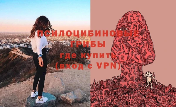 прущий лед Аркадак