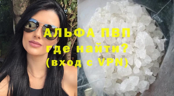 соль ск Ельня