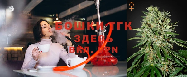меф Арсеньев