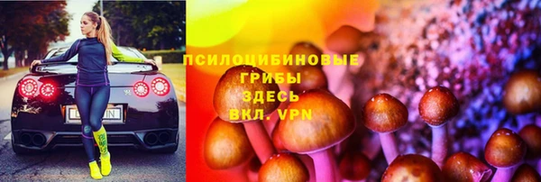 меф Арсеньев